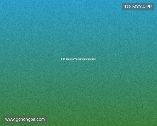 BSZB官网下载iOS版最新安装教程及使用全攻略解析